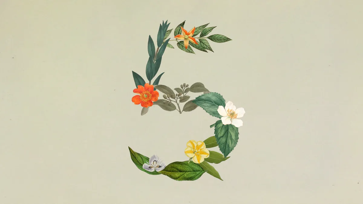 Official Anthropic Claude Sonnet 5 launch image with flowers and leaves forming the number 5